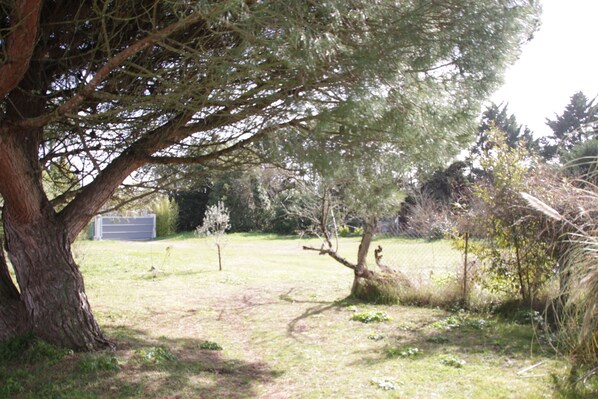 Property grounds - Beautiful longère in the heart of the island (La Couarde Sur Mer)