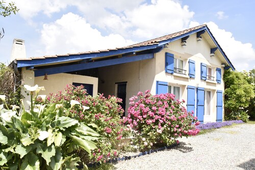 Maison dans le vignoble de BORDEAUX-BOURG-BLAYE-CNPE