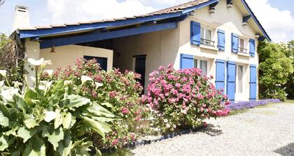 Maison dans le vignoble de BORDEAUX-BOURG-BLAYE-CNPE