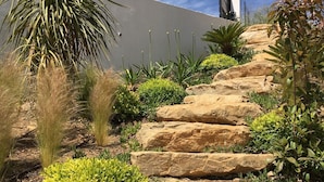 A landscaped garden with a variety of plants, including a palm tree, shrubs, and a rock garden.