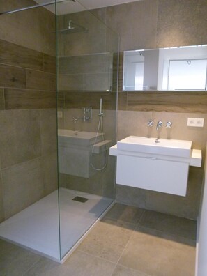 Shower, hair dryer