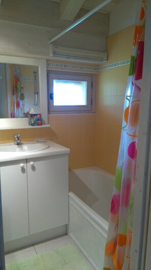 Combined shower/tub, hair dryer