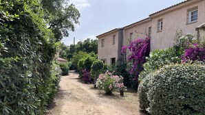 A dirt path leading to a building with a rustic facade, surrounded by lush greenery and flowering plants. - I mini villa 4/6 pers with swimming pool in Porto vecchio (Porto-Vecchio)