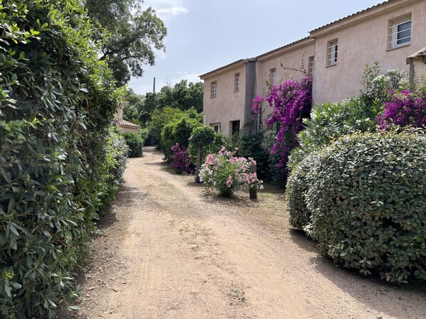 A dirt path leading to a building with a rustic facade, surrounded by lush greenery and flowering plants.