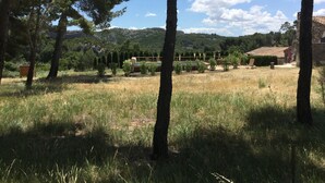 Un área exterior rústica con piscina, sillas de descanso y un edificio de piedra.