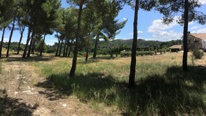 Jardines del alojamiento