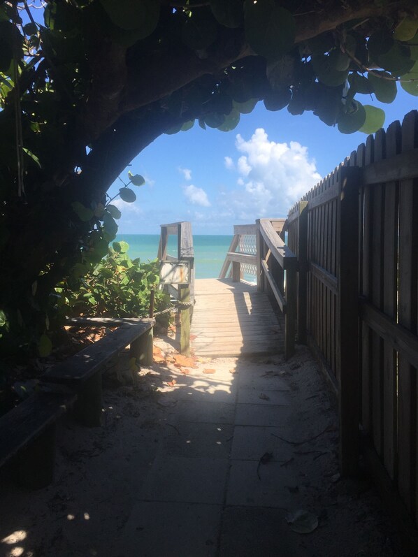 Property grounds - Ocean Views, Secluded 3 Story Home On 1/2 Acre of Palms,Self Check-in (Melbourne Beach)