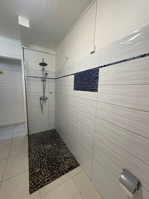 Shower, hair dryer, towels