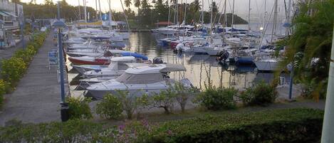 A marina with numerous boats docked, a pathway along the water, and some greenery.