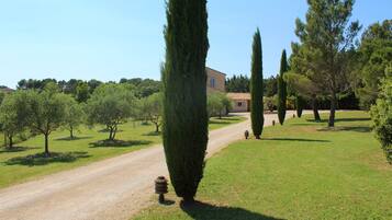 Terrein van de accommodatie