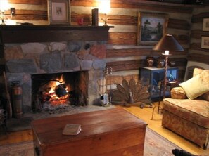 Televisión, chimenea, reproductor de DVD y libros