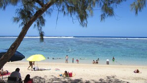 Una spiaggia con persone che nuotano e prendono il sole, un cielo azzurro limpido e un albero con rami pendenti.