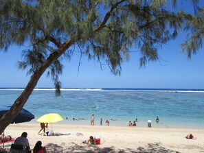 Playa en los alrededores 