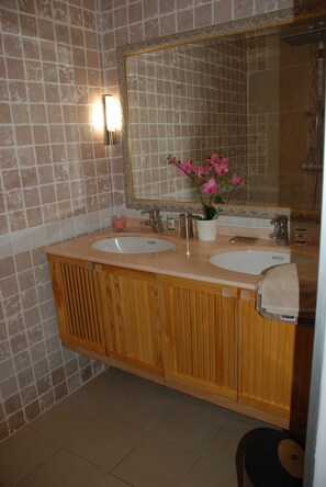A bathroom with two sinks, a mirror, and a potted plant. - 76m2 apartment on one level, large infinity pool, sea view, garden (Le Robert)