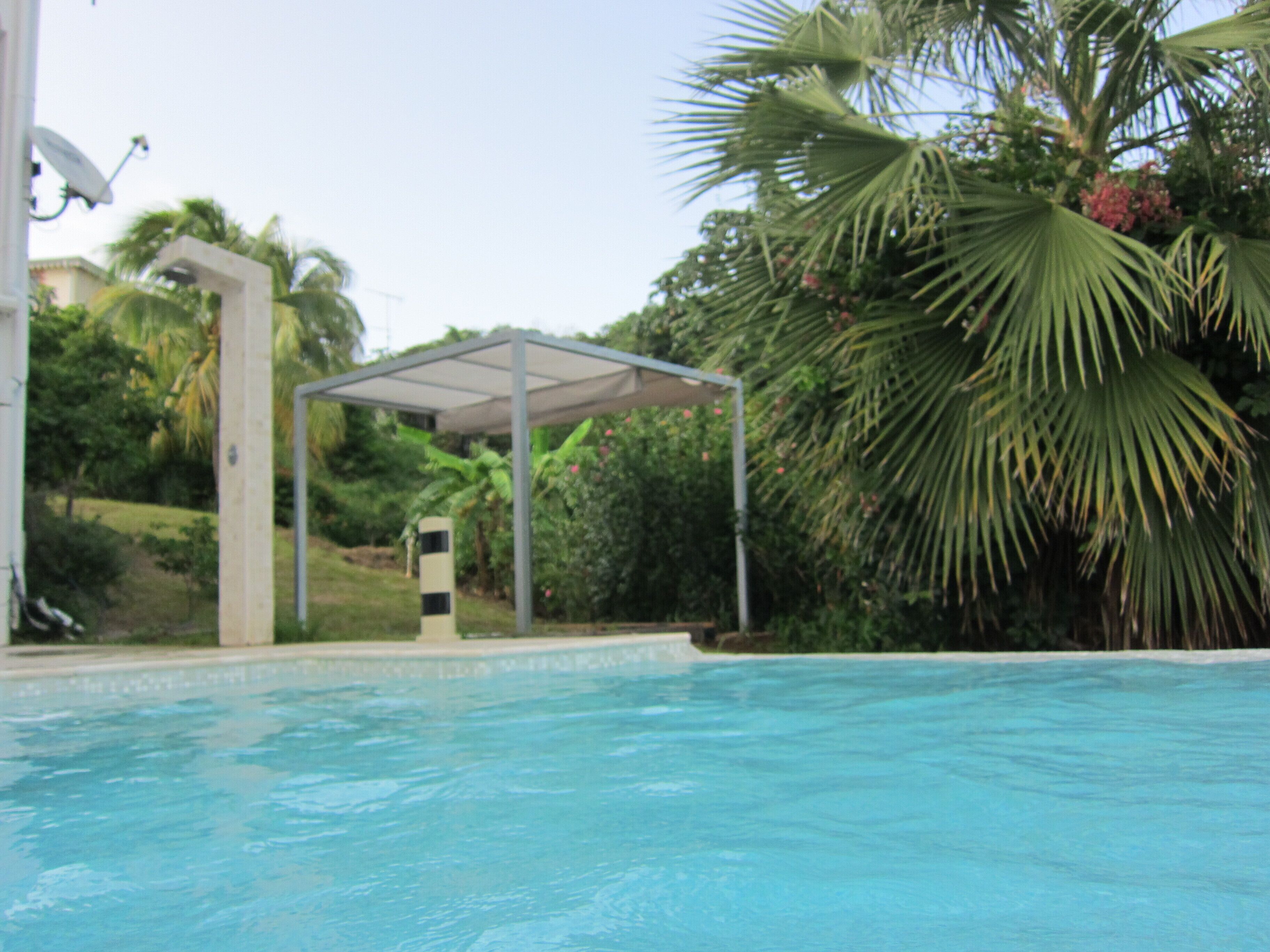 Una piscina con area coperta, circondata da vegetazione lussureggiante e palme.