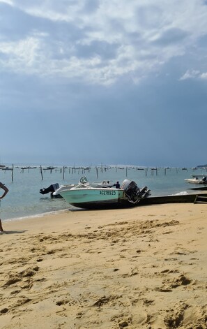 Beach nearby - Beautiful Villa sleeps 19 peninsula Cap Ferret on wooded and quiet (Lège-Cap-Ferret)