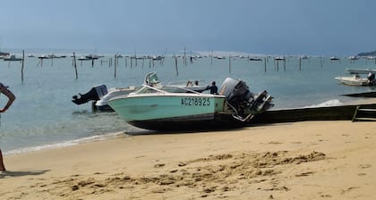 Schöne Villa für 19 Halbinsel Cap Ferret auf bewaldeten und ruhigen