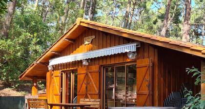 Beautiful Villa sleeps 19 peninsula Cap Ferret on wooded and quiet