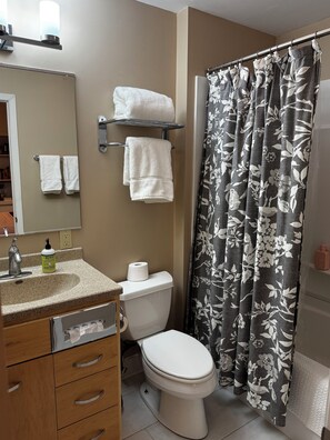 Combined shower/bathtub, eco-friendly toiletries, towels, soap - Beautiful Large Loft on Historic Water Street in Downtown Decorah (Decorah)