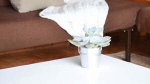 A room with a brown sofa, a white fluffy throw, a star pillow, and a metal bucket with a succulent plant. - VALLEY RIO cottage style 2/6 persons (Le Chambon-Sur-Lignon)