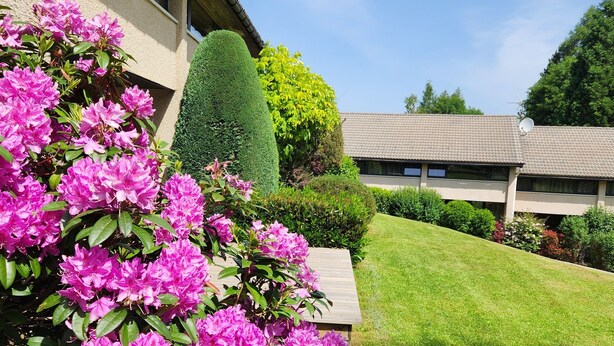 A well-maintained lawn with a row of pink flowers in the foreground, a neatly trimmed hedge, and a building with a tiled roof in the background. - VALLEY RIO cottage style 2/6 persons (Le Chambon-Sur-Lignon)