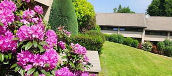 VALLEY RIO cottage style 2/6 persons