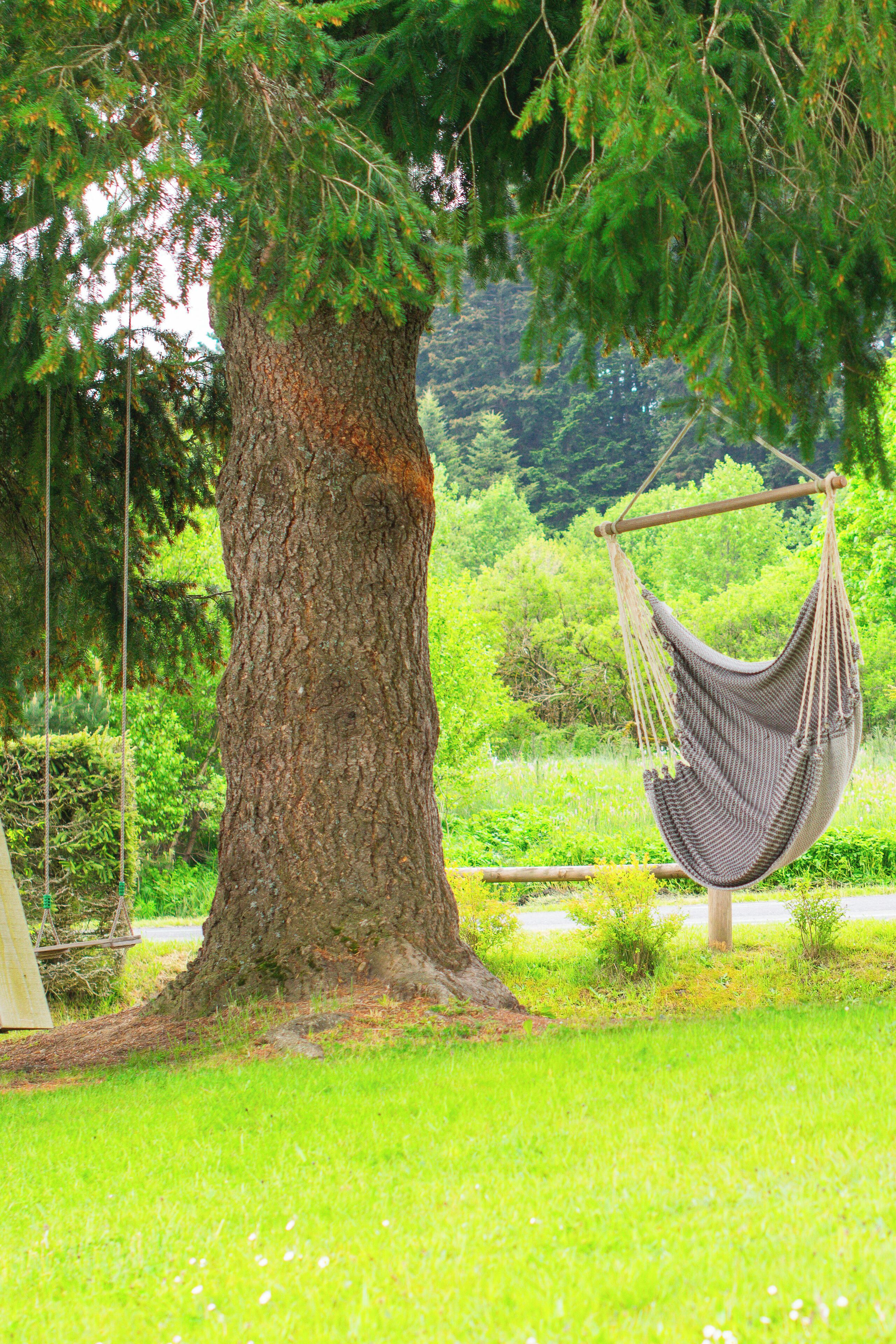 A hammock hanging from a tree in a grassy area with a view of a forested landscape.
