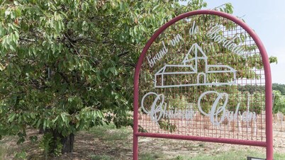 In the Bordeaux region, surrounded by vineyards, a comfortable amenity property.