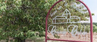 In the Bordeaux region, surrounded by vineyards, a comfortable amenity property.