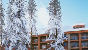 A hotel with a pool area surrounded by snow-covered trees.