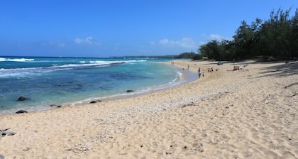 Viehättävä. sallittu, ilmastoitu mökki, kävelymatkan päässä Paiasta.