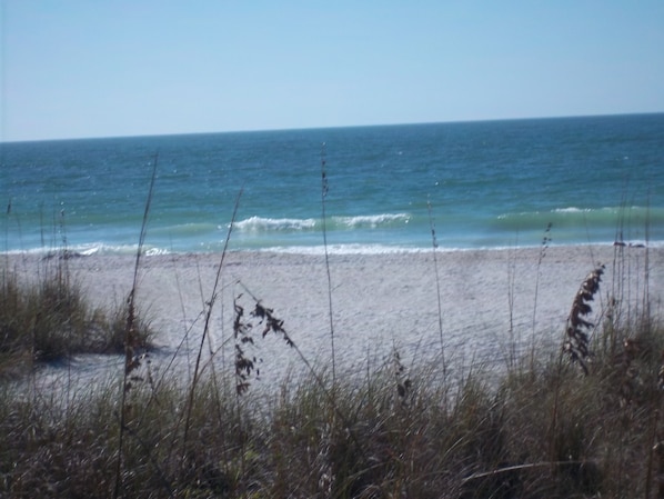 Uma praia com areia e grama ao primeiro plano, e um mar calmo ao fundo.