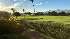 A golf course with a clear path, palm trees, and a view of mountains in the distance.