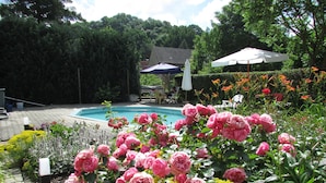 A garden with a swimming pool, surrounded by various plants and flowers. - NoOaks (Meissen)
