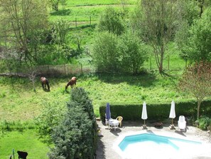 A backyard with a swimming pool, two horses grazing, and outdoor furniture. - NoOaks (Meissen)