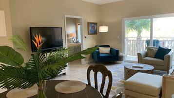 TV, DVD player, video library