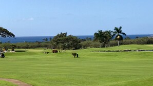A golf course with a clear view of the ocean in the background. - Luxury condo with central A/C and golf and ocean views (Koloa)