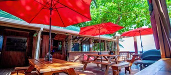 Stay & Dive or Snorkel! Rustic, beach side apartment, steps from the waters edge