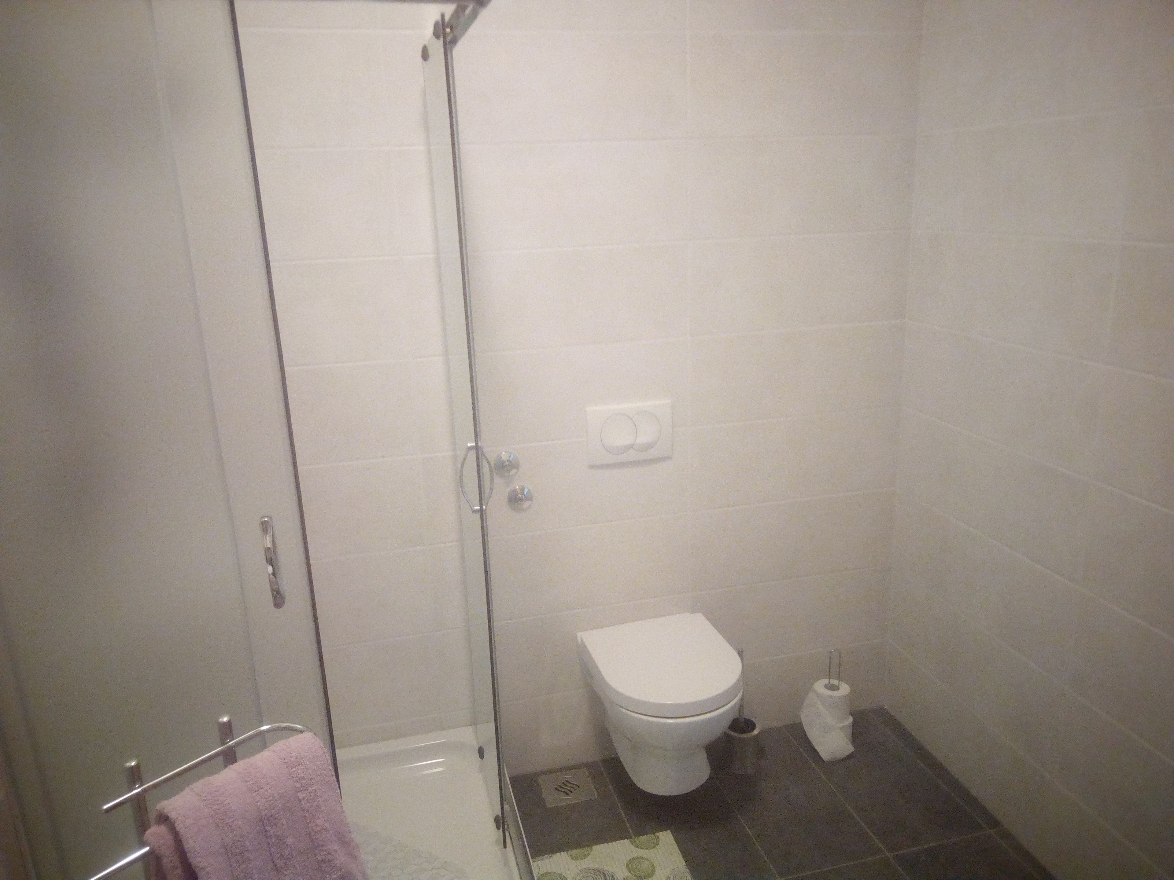 A bathroom with a glass shower enclosure, a white toilet, and a trash can.