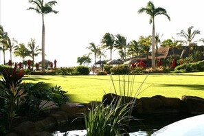 Property grounds - Ocean View Upgraded Top Fl HOKU711 Shaded Lanai see condo comparison chart  (Lahaina)