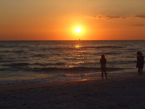 Beach - Beautiful Refurbished Saltwater Pool.  One-half mile walk to Vanderbilt Beach (NAPLES)