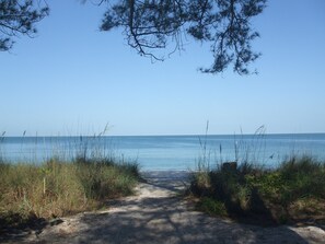 A sandy path leading to a beach with tall grasses and trees framing the view.