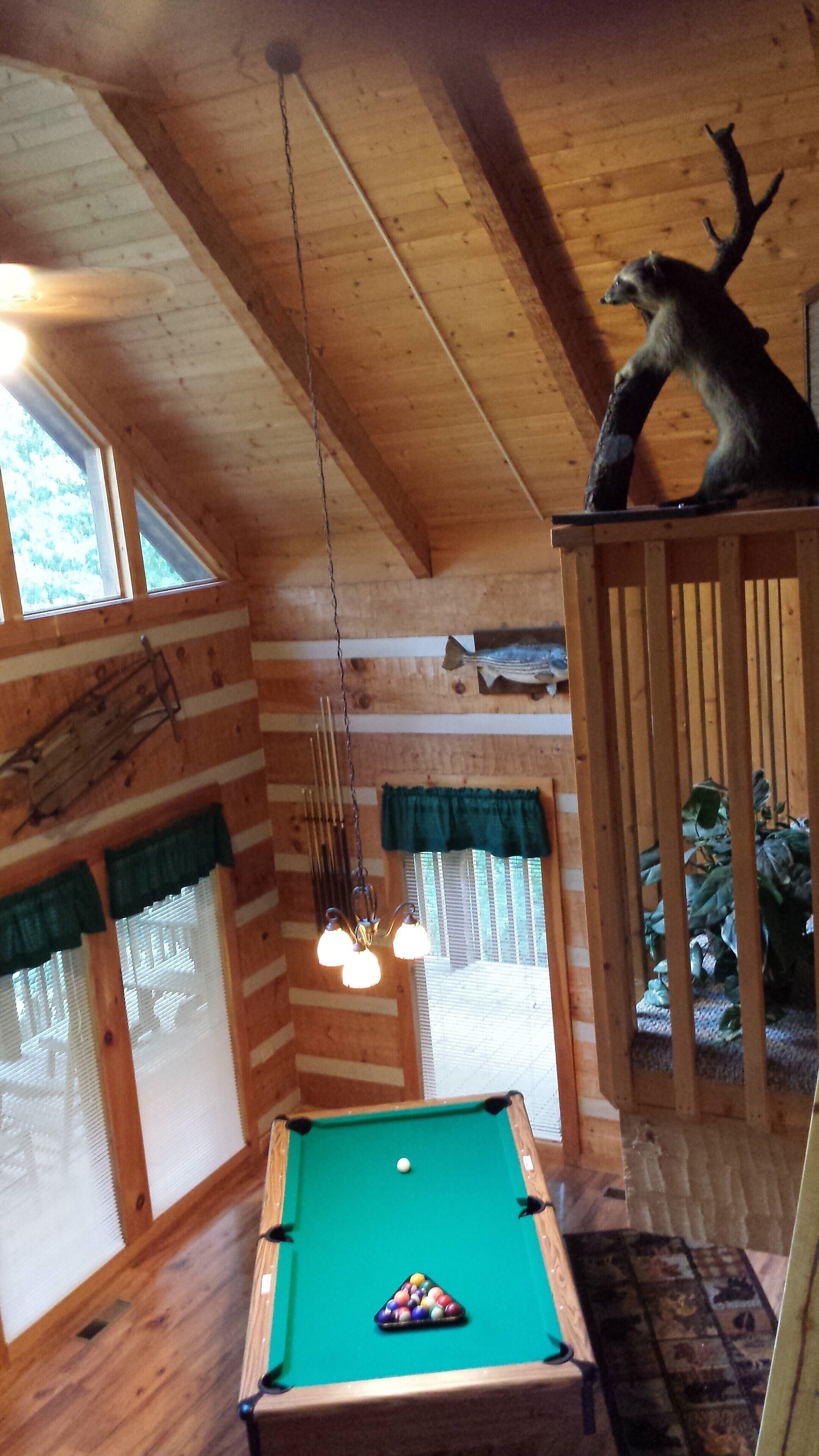 Great location, amenities and rates of $159-$169 per night - also pet friendly