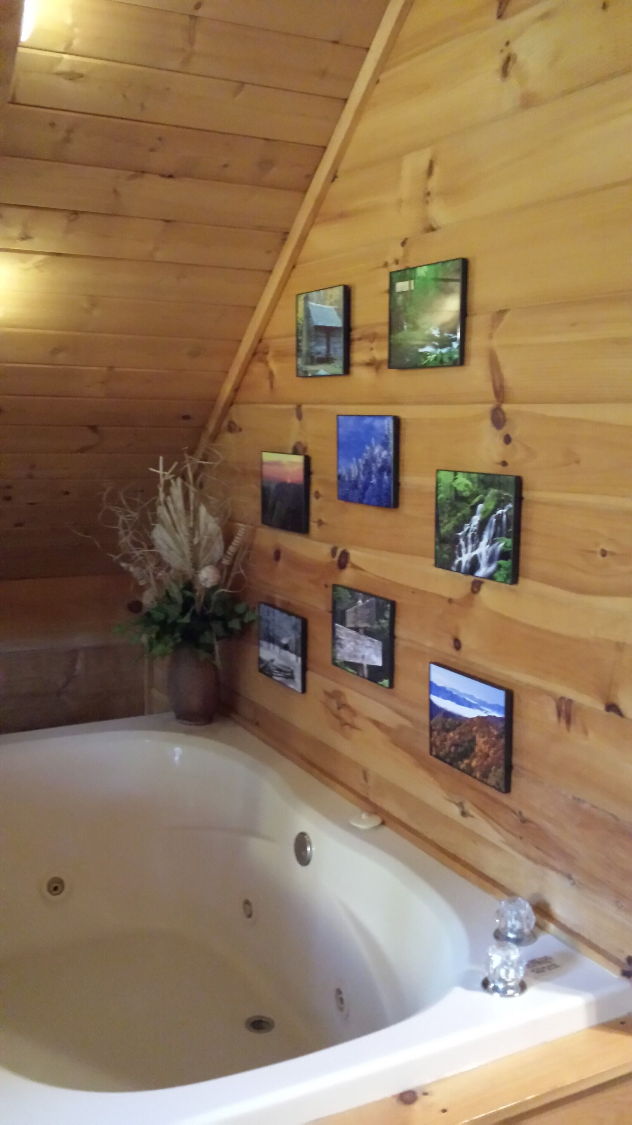 Great location, amenities and rates of $159-$169 per night - also pet friendly