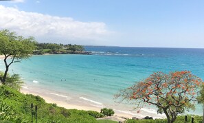 A beach with clear turquoise water, a sandy shore, and a tree with orange flowers. - Vista A201 Luxury, Ocean View,  Pool, 8 min walk to beach, Beach equipment. (Waikoloa)