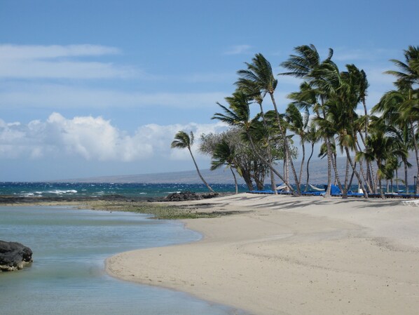 Beach nearby, sun-loungers, beach towels