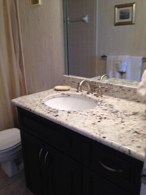 Une salle de bain avec un comptoir en granit, un lavabo, un miroir et des toilettes.