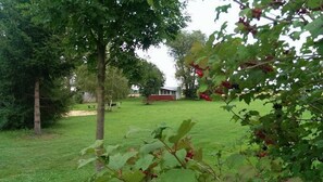 المنطقة المحيطة بالمنشأة