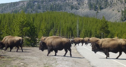Moderni eurooppalaistyylinen mökki West Yellowstonessa