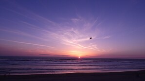 Atardecer sobre el océano con una playa y un ave volando.